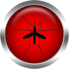 Anti Mosquito