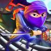 Ninja Slash 2in1