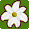 Flower Shop Star